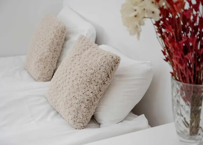 Spacious In With Large Terrace And 2 Parking Spaces By Renters Appartement *